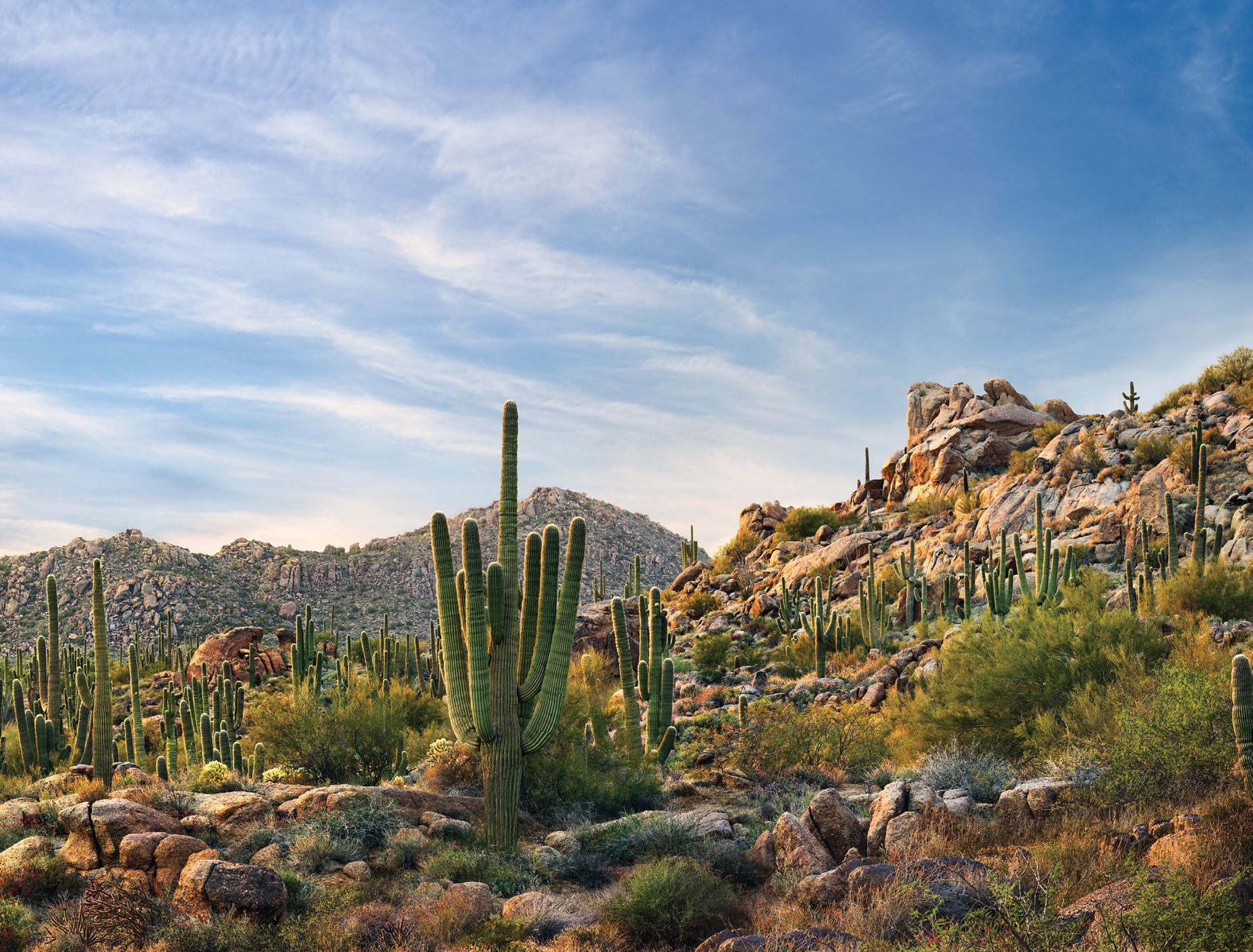 Scottsdale’s McDowell Sonoran Preserve at sunrise. PHOTO BY LONNA TUCKER/COURTESY OF EXPERIENCE SCOTTSDALE