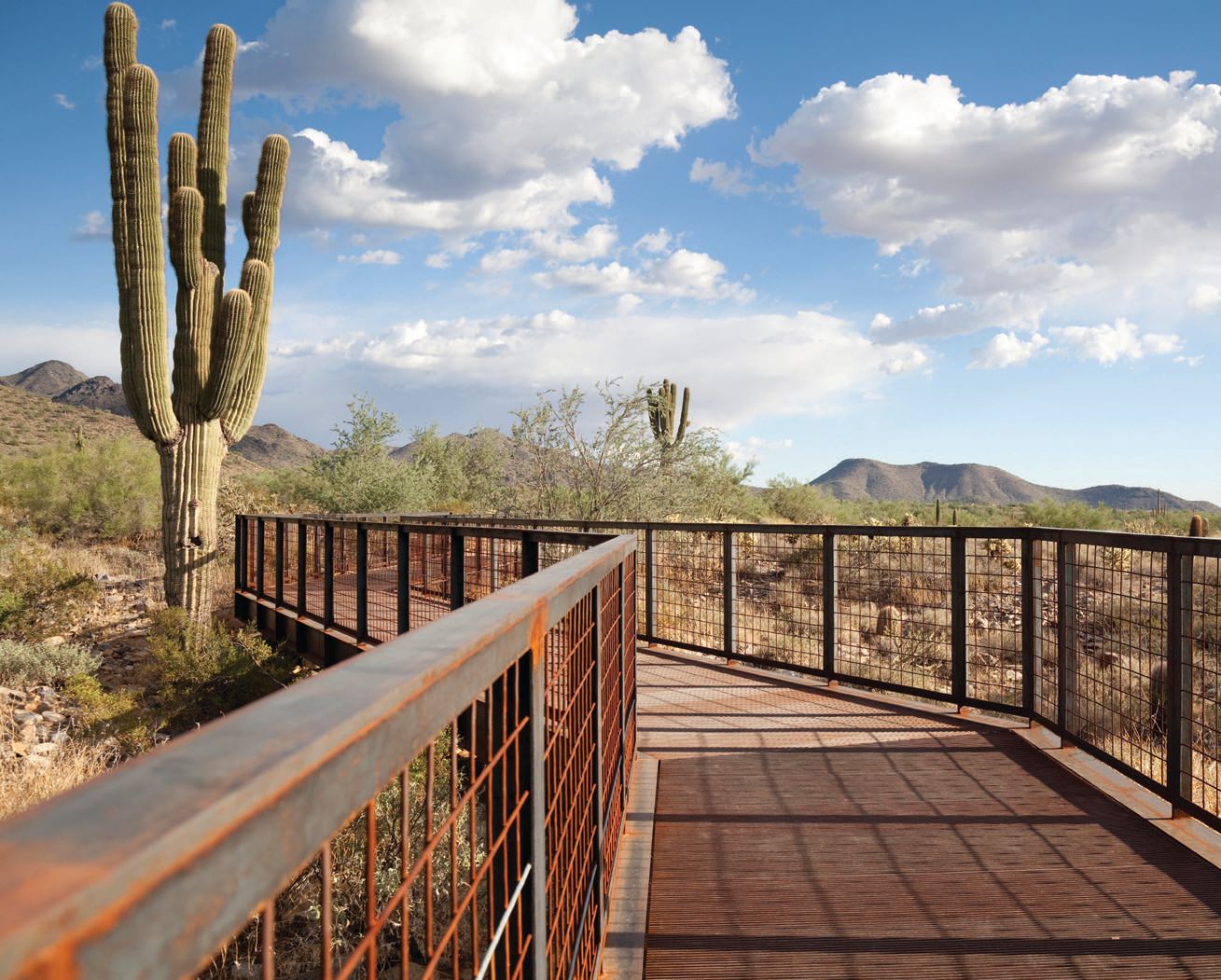 On the McDowell Sonoran Preserve, hikers can find the Getaway trailhead bridge PHOTO BY: DOUG BENNETT